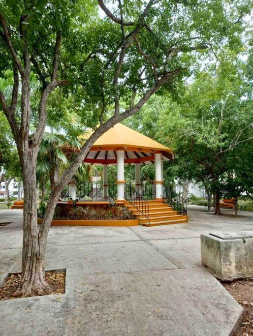 坎昆Beautiful Jungle House On A Strategic Location别墅 外观 照片