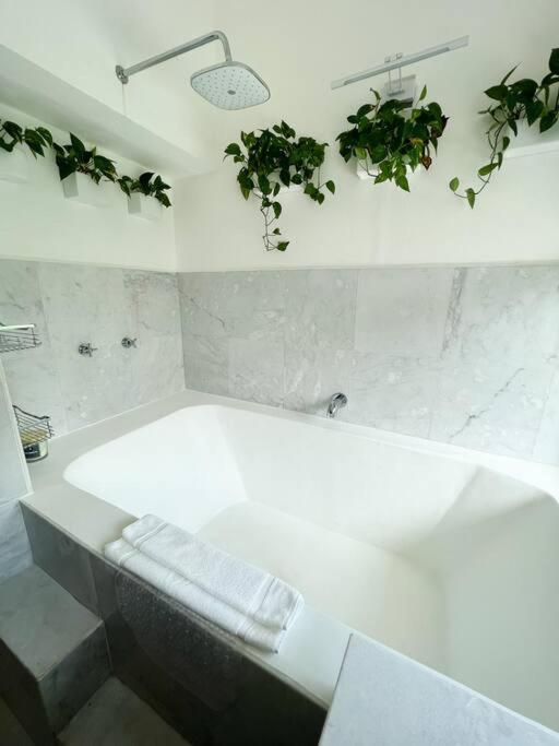 坎昆Beautiful Jungle House On A Strategic Location别墅 外观 照片