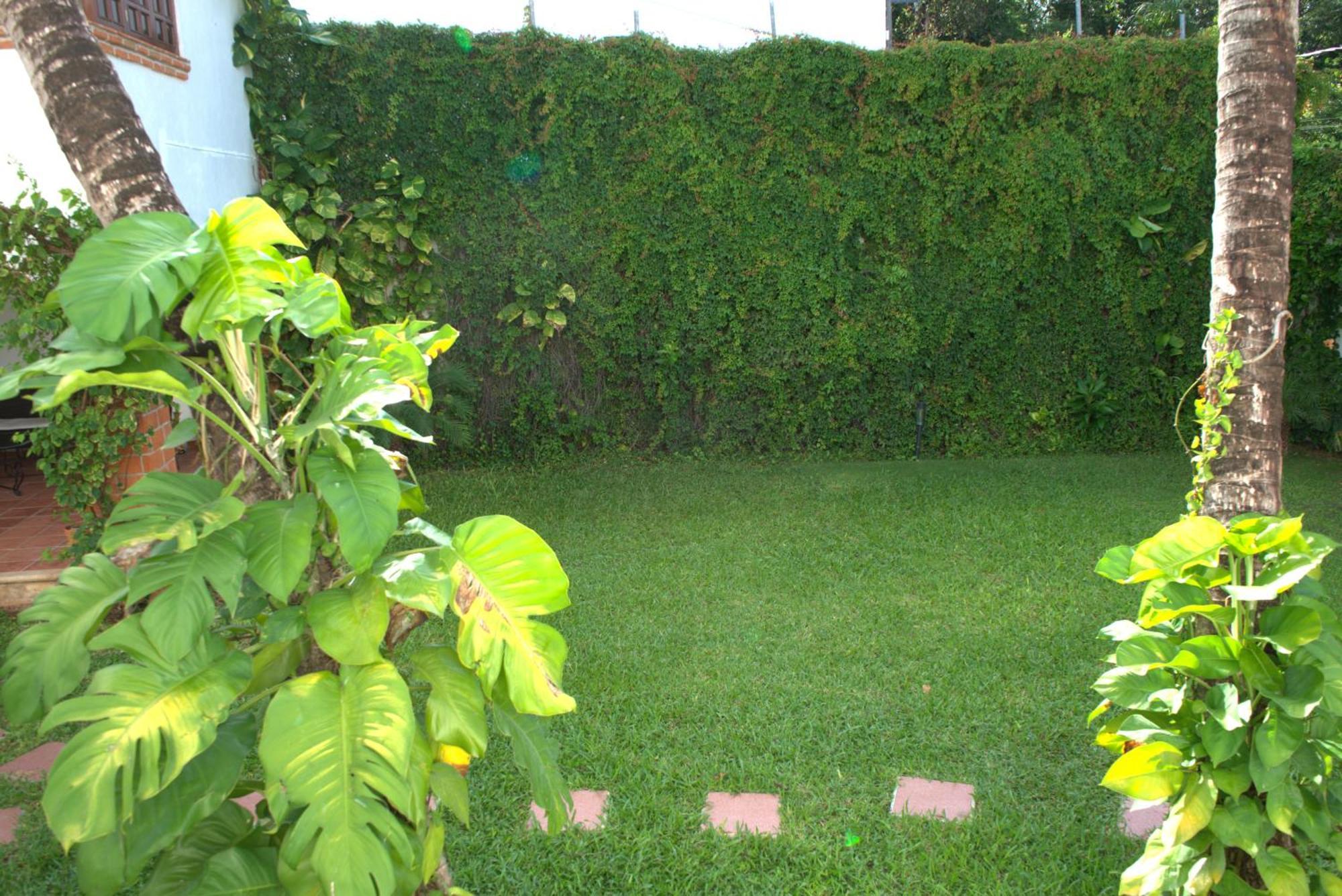坎昆Beautiful Jungle House On A Strategic Location别墅 外观 照片